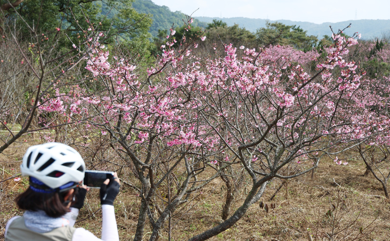 Prakiraan Cuaca 12 Februari 2026 (CNA)