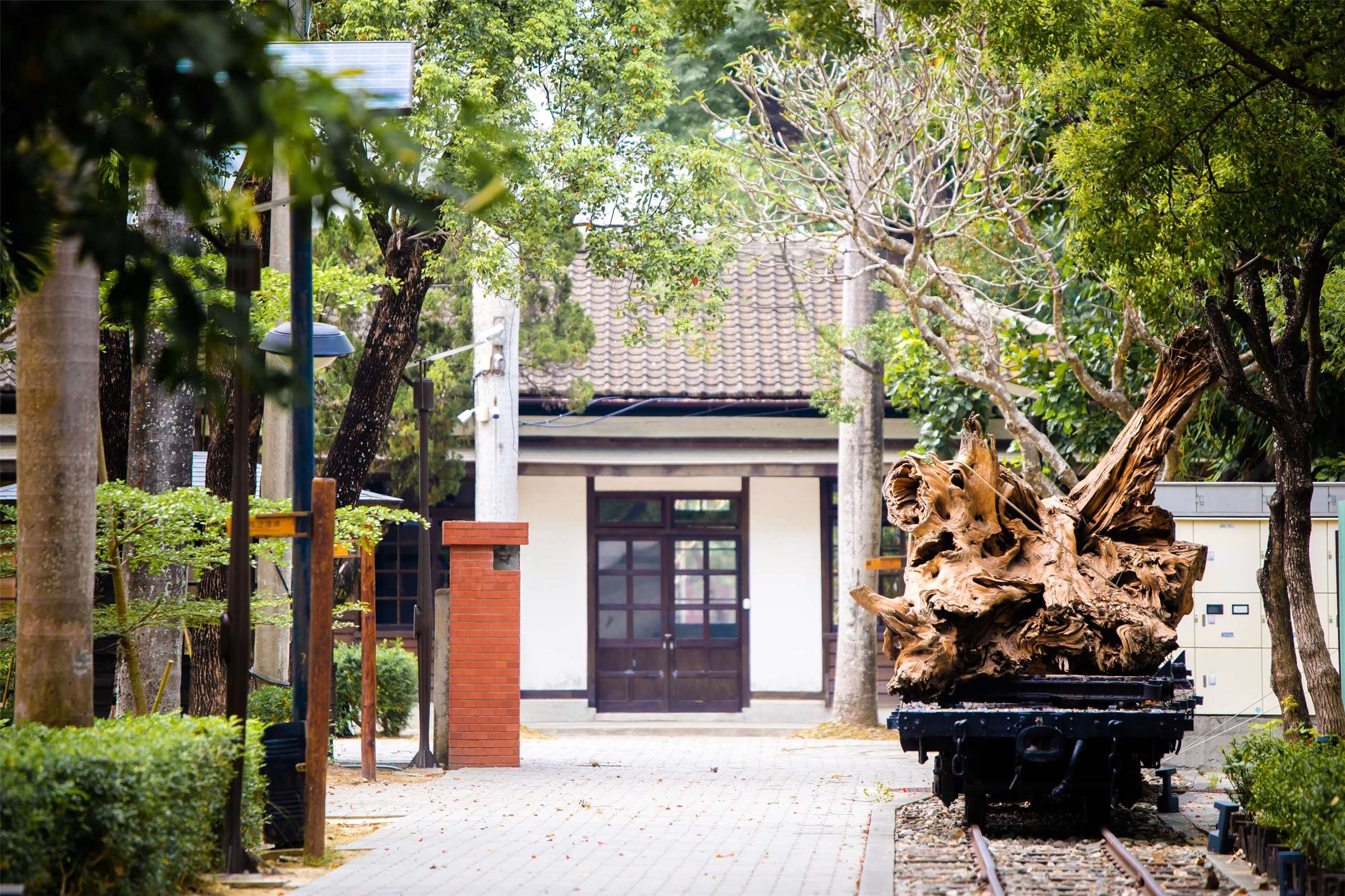 pabrik kayu di Chiayi