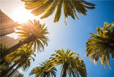 (foto: Cerah/ Canva)