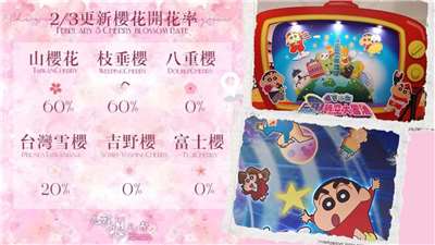 Sakura dan Pameran Shinchan