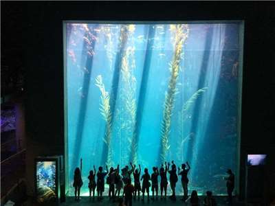 "Pesta Pesona Samudera" (foto: Hi-Scene World Enterprise.Co.Ltd)