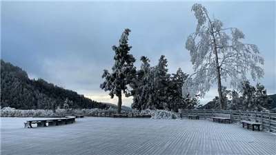 Kawasan Rekreasi Hutan Nasional Taipingshan pagi ini (9/1) diselimuti embun es beku (foto: Kawasan Rekreasi Hutan Nasional Taipingshan)