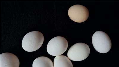 Wajib 'Telur Cuci' untuk Restoran Mulai Juli, Picu Kenaikan Harga? Ini Jawaban Kementerian Pertanian (Unsplash)