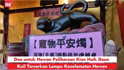 Doa untuk Hewan Peliharaan Kian Naik Daun, Kuil Tawarkan Lampu Keselamatan Hewan, Gratis Lampu Berkah untuk Pemilik (RtiSI)