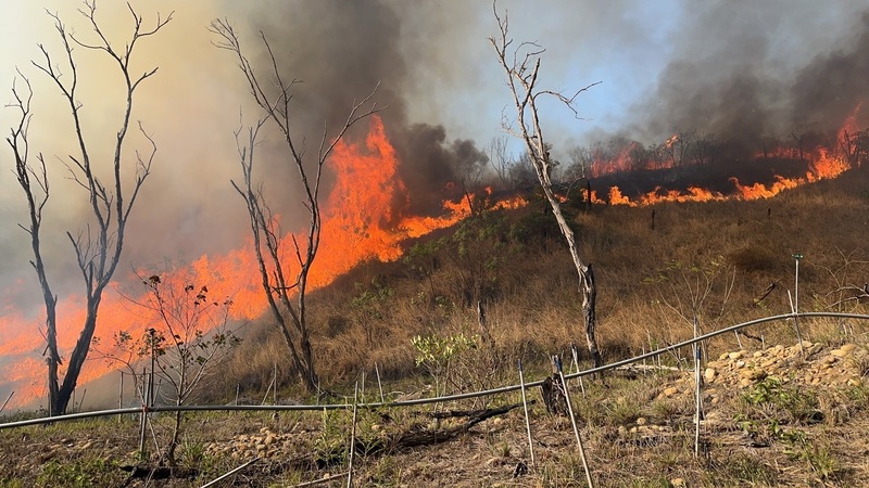 Kebakaran di lahan pemakaman, lahan rumput liar beberapa hari berturut-turut di distrik Shalu, Taichung membuat petugas Damkar kewalahan (foto: warga)