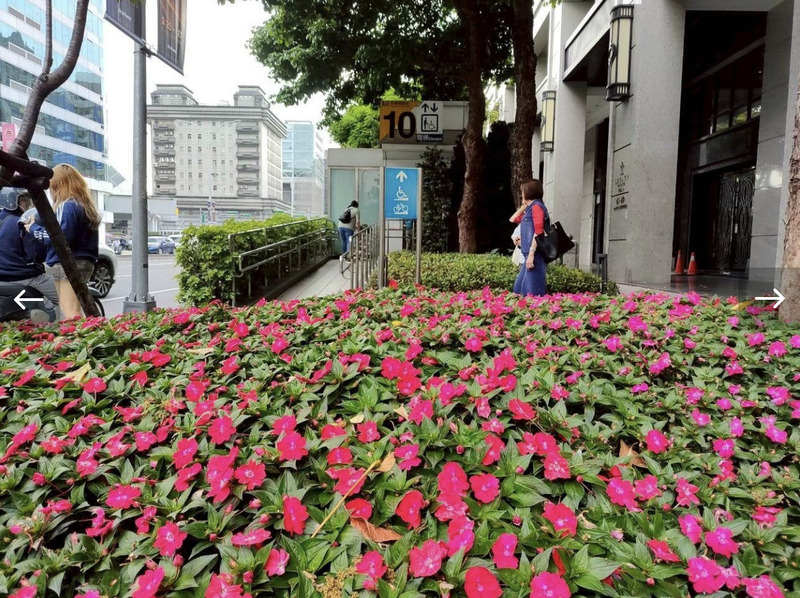 Program penghijauan lahan publik berjalan lebih dari 10 tahun, total ada 385 titik pemeliharaan tanaman yang melibatkan pemerintah dan swasta (pelaku usaha, perorangan). (foto: Kantor Pengelola Taman dan Lampu Jalan Kota Taipei)