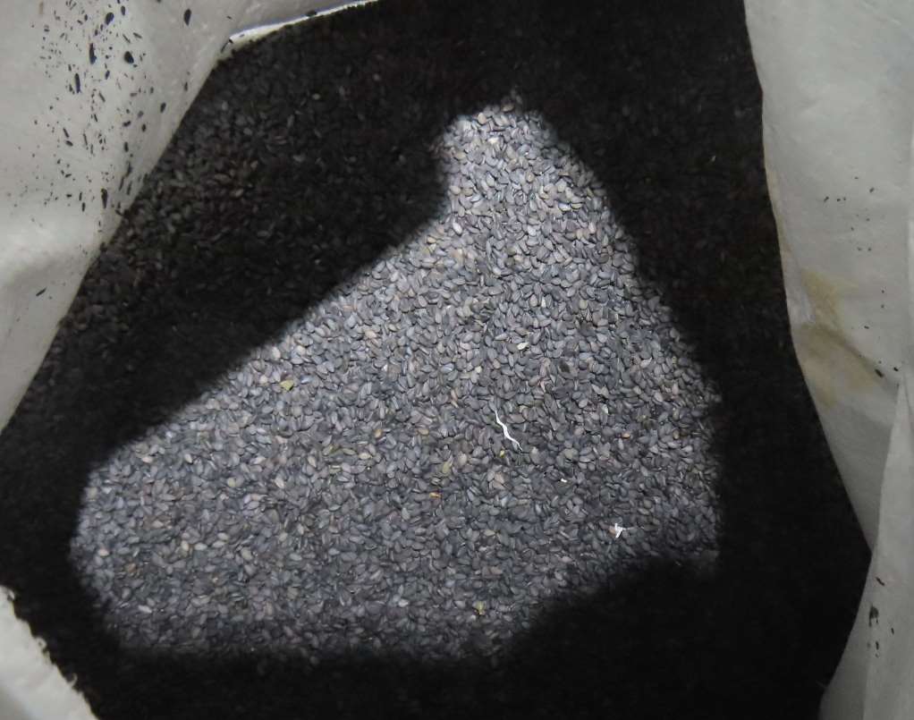 Salah satunya adalah biji wijen hitam impor asal Tiongkok yang ditemukan mengandung 0,2 mikrogram kadmium per kilogram, melebihi batas yang diizinkan. (Foto: FDA) 