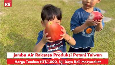 Jambu Air Raksasa Produksi Petani Taiwan, Harga Tembus NT$1.000, Uji Daya Beli Masyarakat (RtiSI)