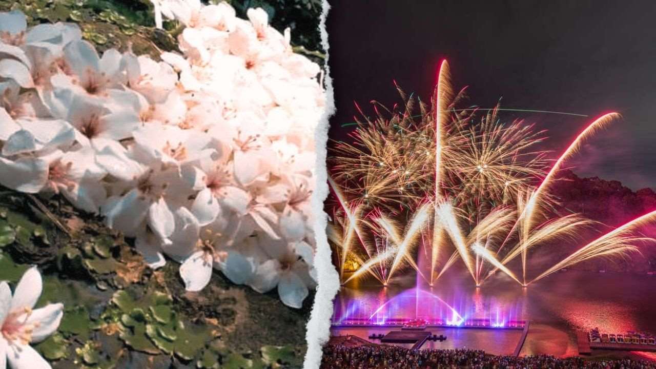 Festival Bunga Tung dan Air Mancur Menari Bitan (foto: LL & Pemkot New Taipei)