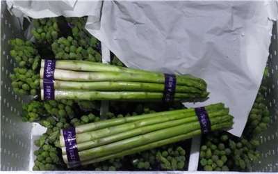 Kandungan pestisida yang melebihi standar yang ditentukan pada asparagus hijau yang diimpor dari Thailand dan Vietnam. (Foto: BPOM Taiwan)