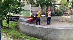Kasus Ke-3 Tahun Ini! Pria Asal New Taipei yang Bekerja di Keelung Digigit Tikus, Positif Hantavirus (CNA)