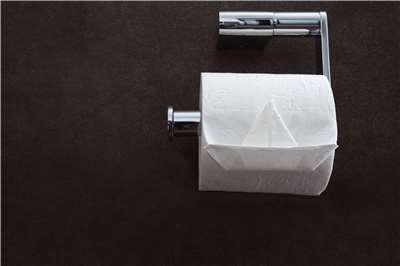 Habis BAB Menyeka Pakai Tissue Sampai Bersih Tidak Berwarna Justru Berbahaya bagi Kesehatan Anus, Dokter Taiwan Ini Bagikan Tips (PIXABAY)