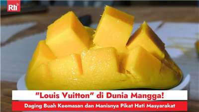 "Louis Vuitton" di Dunia Mangga! Daging Buah Keemasan dan Manisnya Pikat Hati Masyarakat (RtiSI)