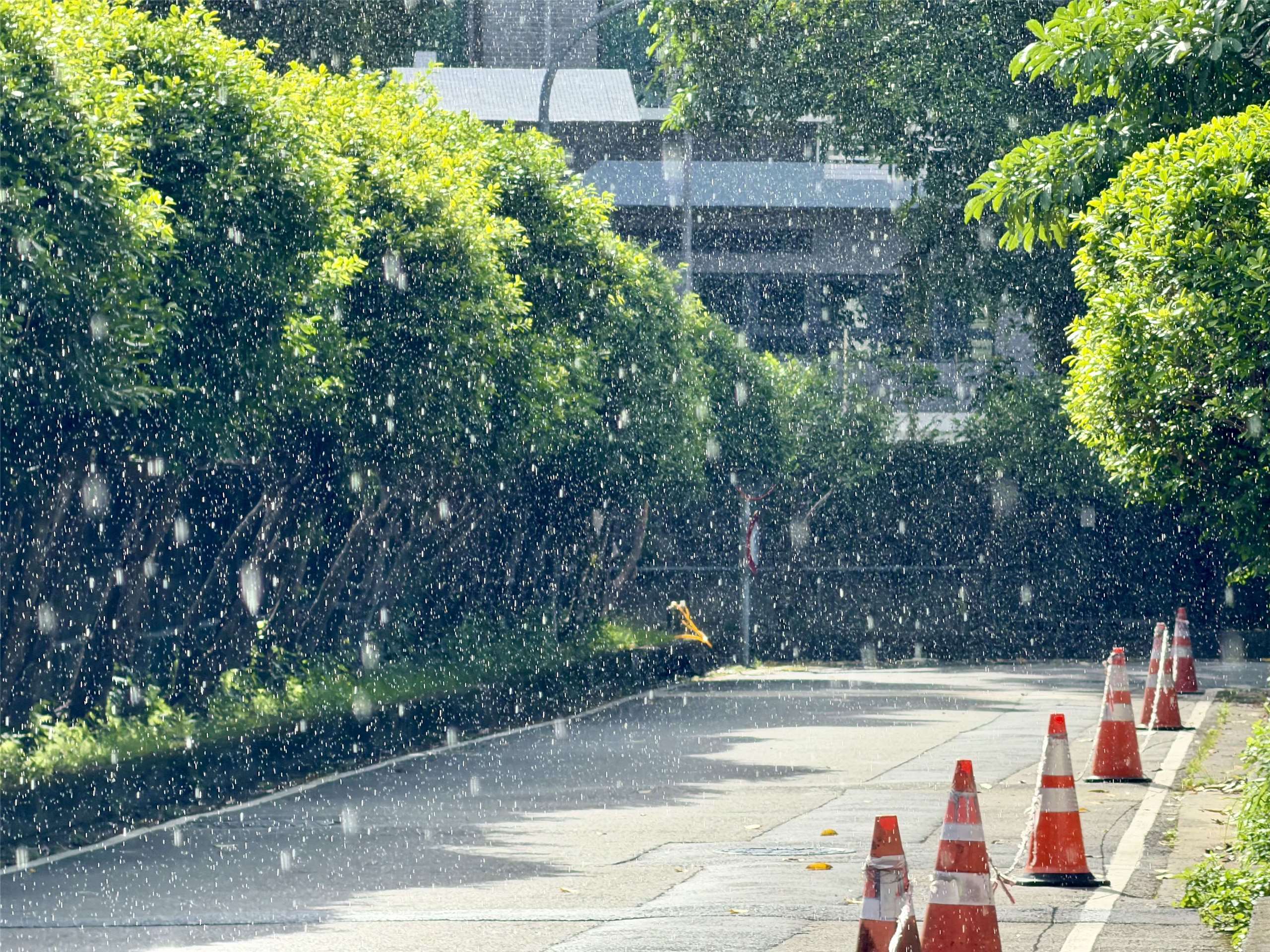 ANT 天氣 Cuaca (陳柏萇 攝)