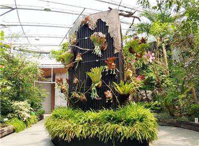 Taman Botani Taipei (foto: Taipei Collectible Botanical Garden)
