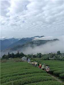 Hanlu (寒露) (Foto: CNA)