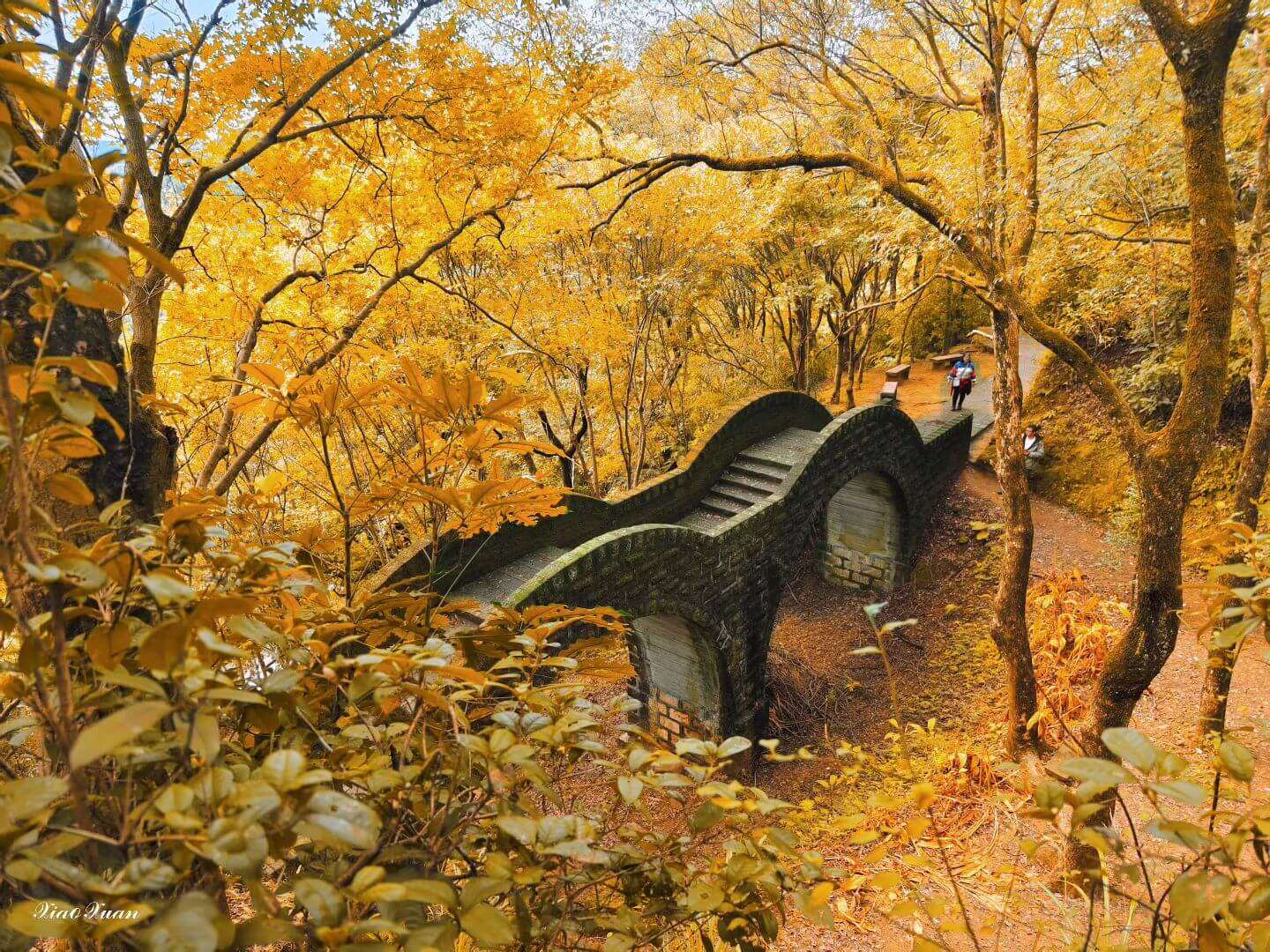 (foto: Instagram @t19850423)