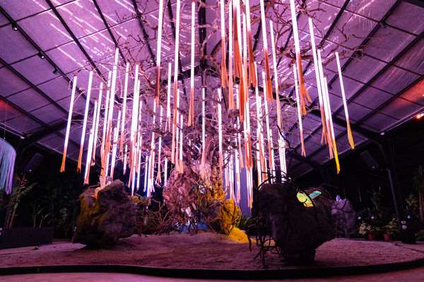 (foto: 自然圈農場)