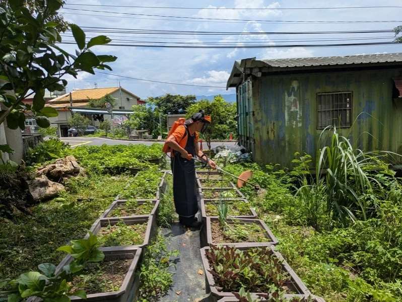 Meskipun cuaca panas, Kepala RT dan warga setempat rajin menyiangi ladang sendiri, aktif aksi bersih-bersih lingkungan dan mengumpulkan daun-daun berguguran untuk dibuat menjadi kompos (foto: twmbbtv.com; sumber:udn.com)