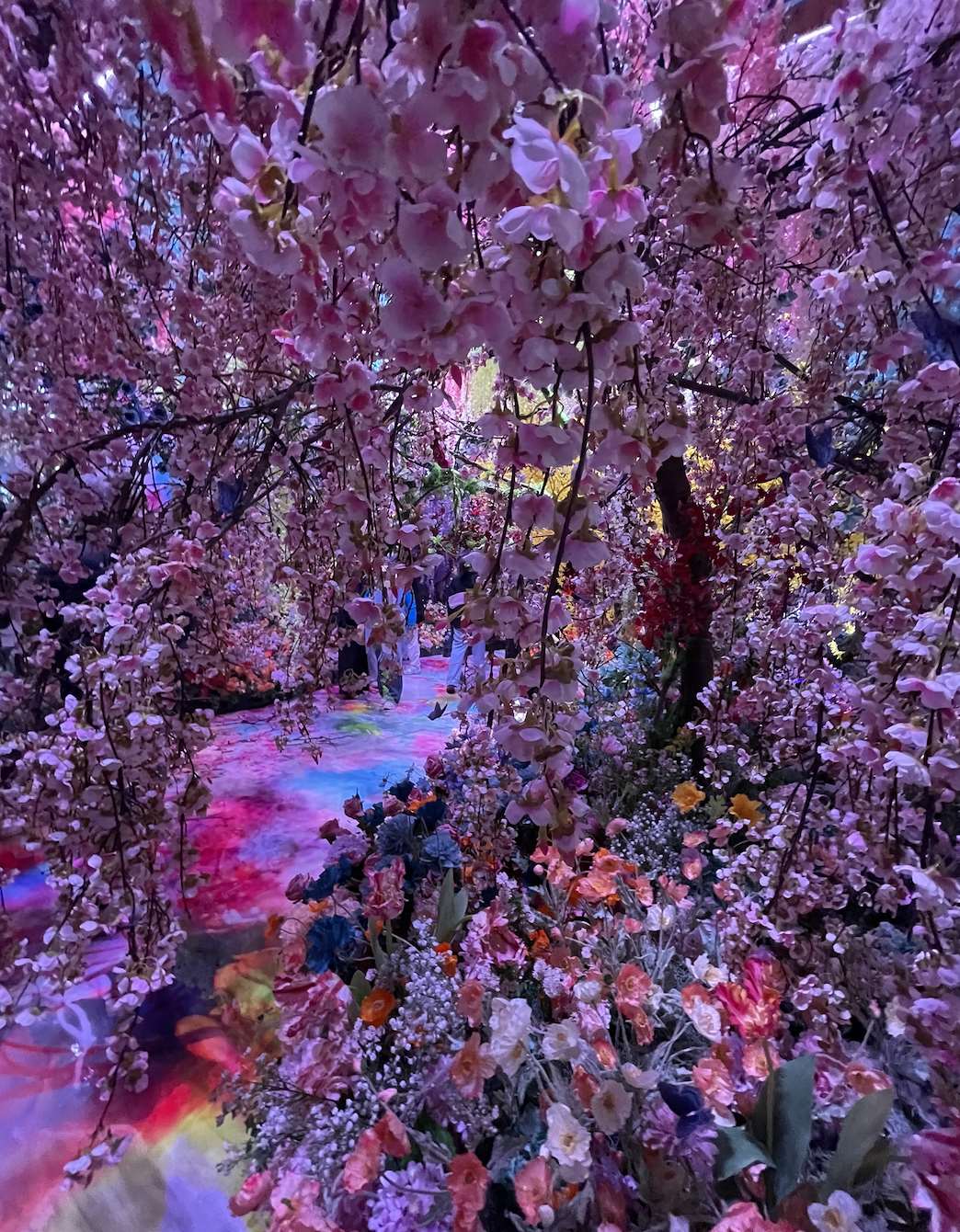 salah satu area dalam pameran “Mika Ninagawa Exhibition with EiM: Light of the Beyond, Shadow of This World”  yang digelar di Huashan 1914 Creative Park
