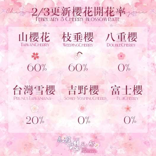 Sakura di Formosan Aboriginal Culture Village (foto: FB Formosan Aboriginal Culture Village )