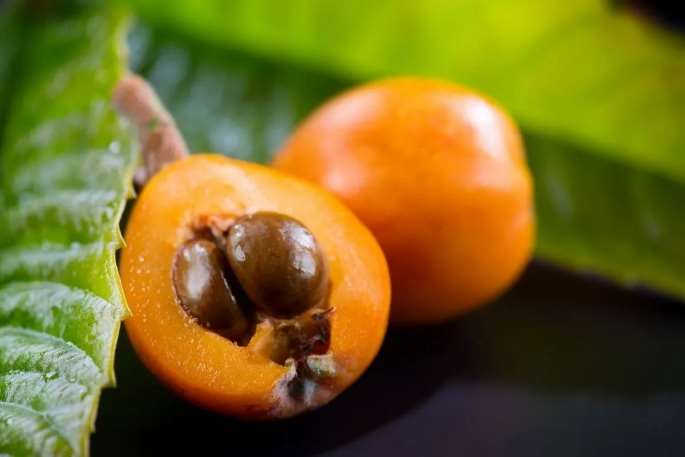Buah biwa atau loquat (foto: Hello Sehat)