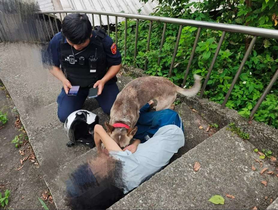 Anjing yang menjaga tuannya di Keelung (foto: Kepolisian Keelung & warga via MSN)