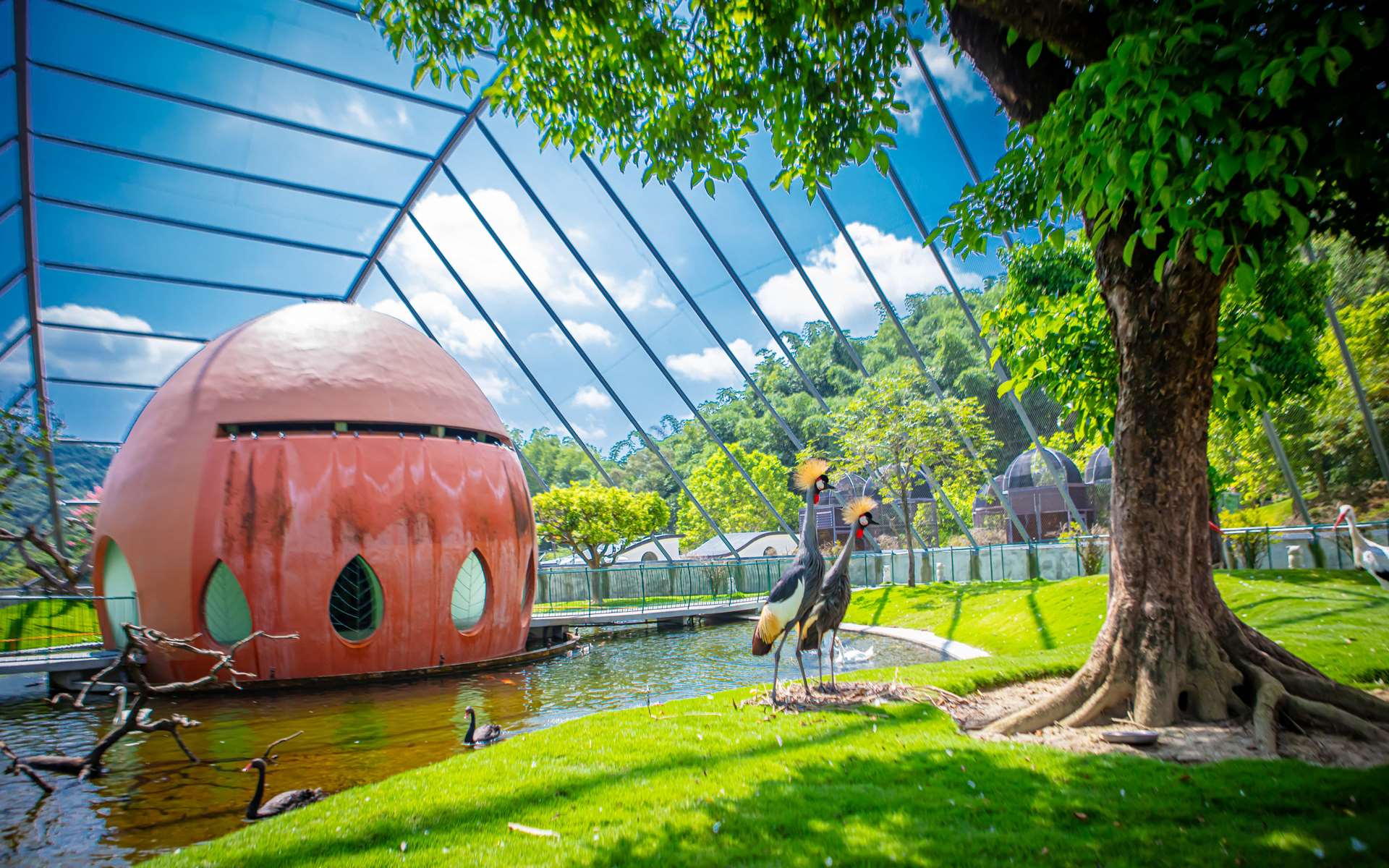 Skynet Bird Cage (foto : Jojozoo Park 「九九峰動物樂園」)