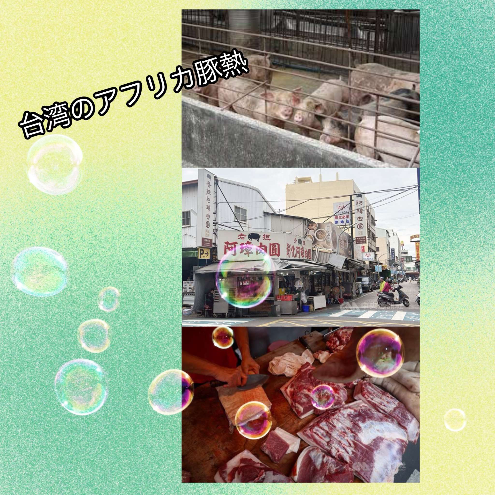 中央社の写真よりコラージュ