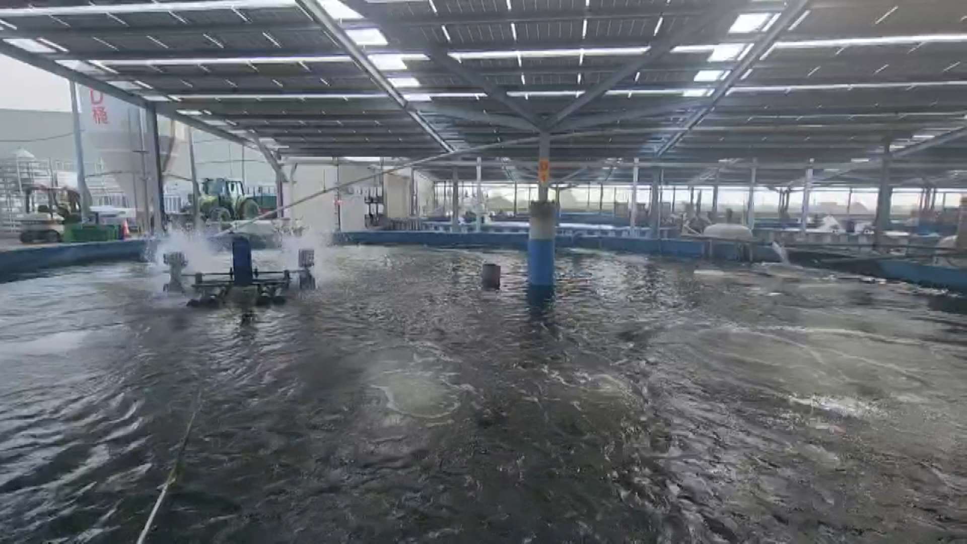 台湾中部・雲林県口湖の台湾鯛養殖場はAIを導入し、年間漁獲量が23倍になったという（写真：Rti）