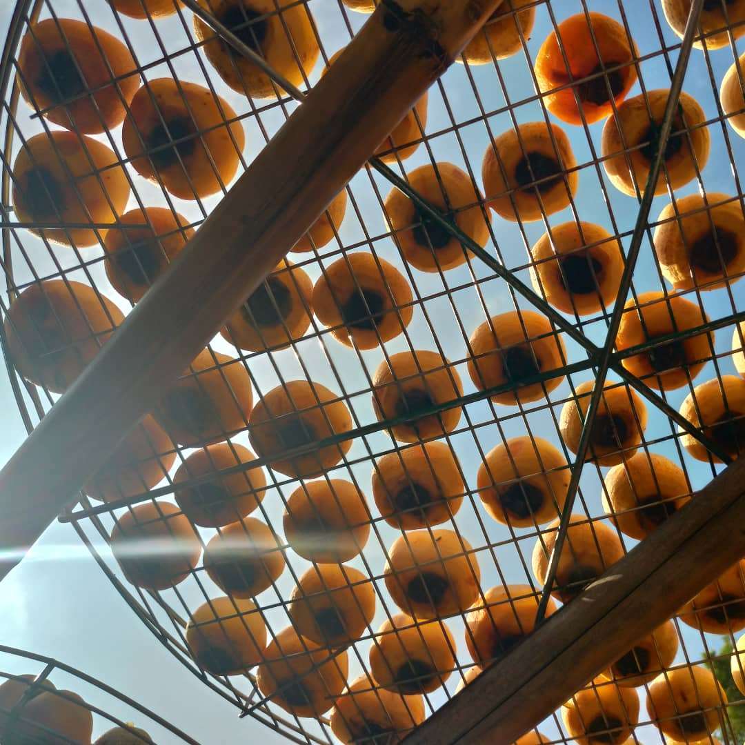 （写真：台湾国際放送）