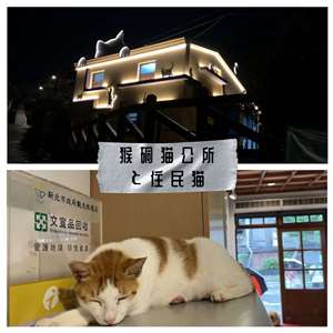 中央社の猴硐の写真をコラージュ
