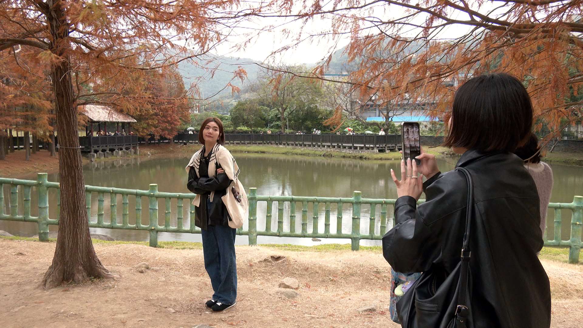 毎年冬はラクウショウ鑑賞のベストシーズン。実は、北部・台北市にも多くのラクウショウの鑑賞スポットがあり、人々を魅了している。（写真：Rti）