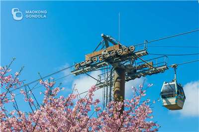 台北市近郊にあるお茶の里「猫空（マオコン）」と台北市を結ぶ「猫空ロープウェイ」。（写真：北捷遊憩公司の公式サイトより）