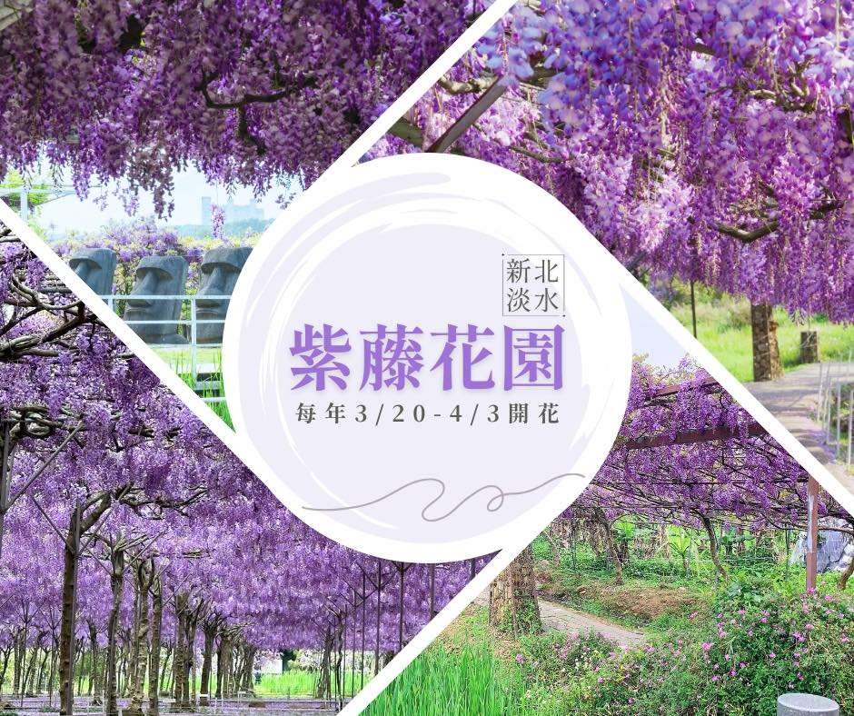 （写真：淡水紫藤花園-二號水源園區フェイスブックページより）
