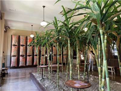 전당주식회사 특별전에서 전시된 사탕수수 모형 - 사진: 안우산