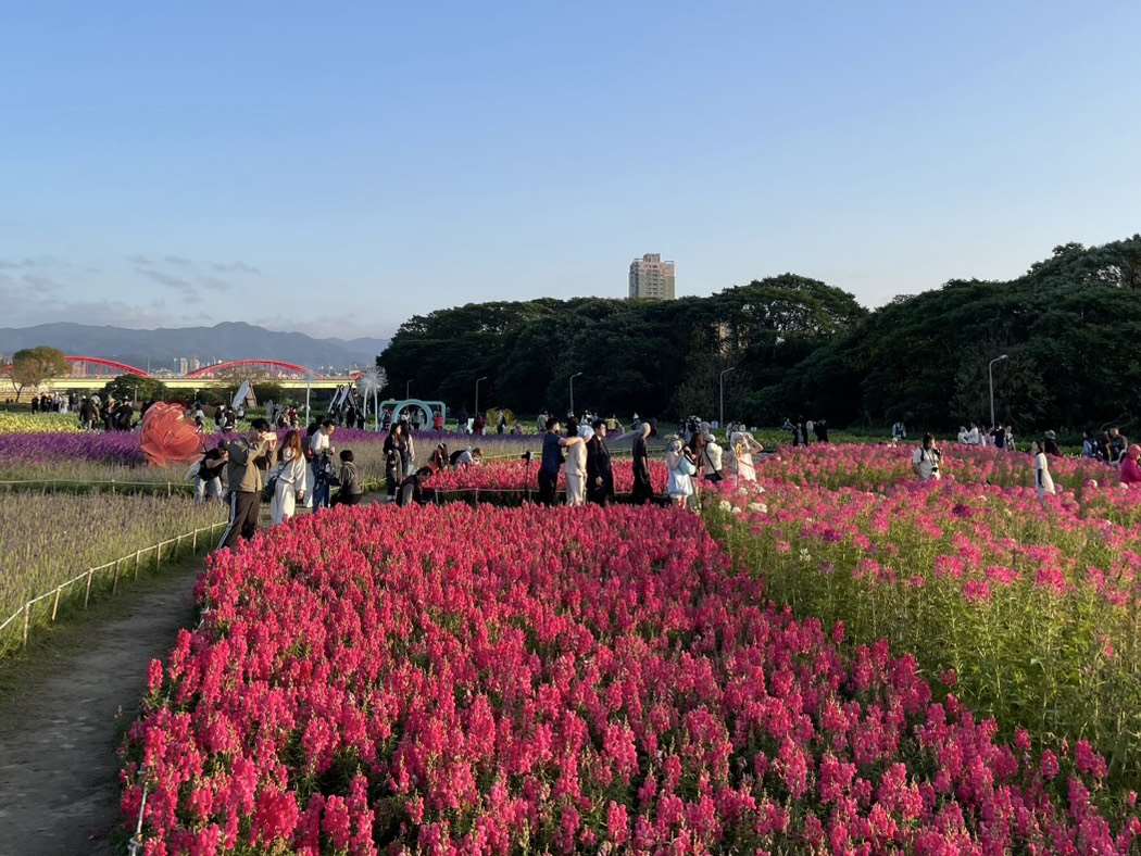 타이베이 쿠팅(古亭) 강변공원에서 열리고 있는 꽃 페스티벌 - 사진: 안우산