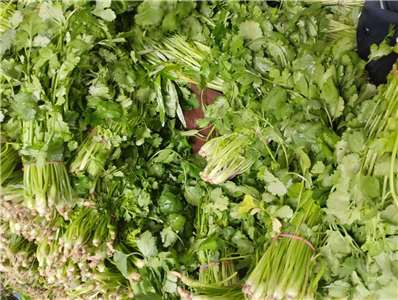 ▲ 지난 12일(일) 신베이지역 도심 전통시장에서 한 상인이 고수를 팔고 있다. [사진= Rti 손전홍]