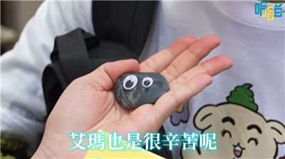 타이완 MZ세대 사이에서 인기있는 '반려돌' - 사진: 유튜브@HahaTai 哈哈台 캡처