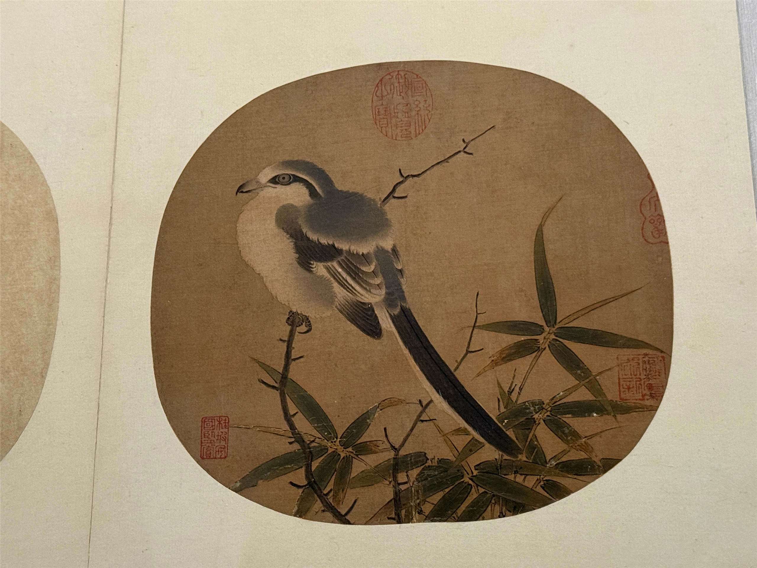 국립고궁박물원 개원 100주년 기념 갑자만년(甲子萬年) 특전에서 만나볼 수 있는 남송시대 대표 화가 이안충(李安忠)의 대나무와 때까치. 남송시대 회화에는 사생화에 가까운 사실적인 묘사가 많으며 북송과는 달리 비교적 작은 화첩그림이 유행하였다. -사진: 백조미jennifer pai