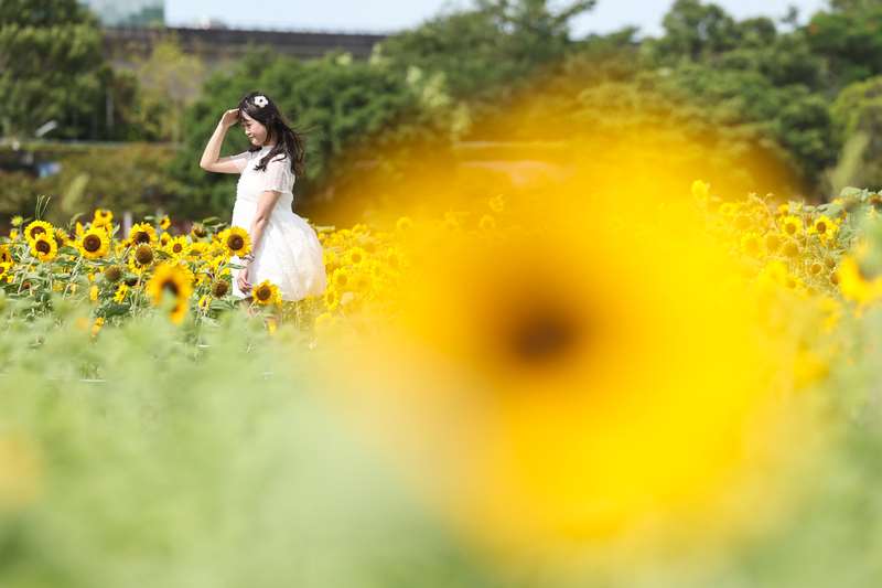 Angin Sejuk Utara Tiba: Suhu Taiwan Menjunam Ketara, Penduduk Diingatkan Bersedia (Foto: CNA)