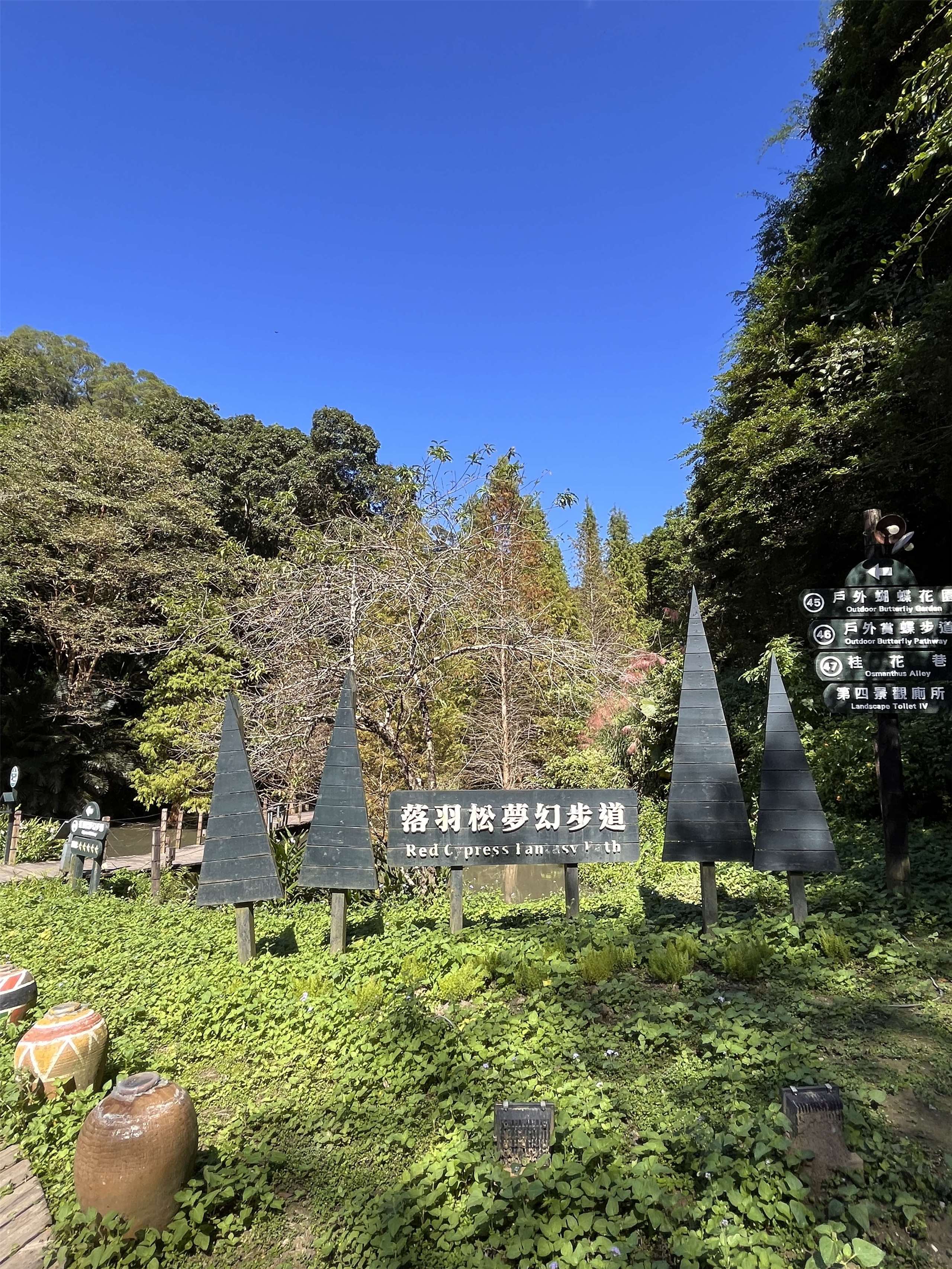 Taman Pokok Cypress Botak di Green World Ecological Farm (Taman Ekologi Dunia Hijau)