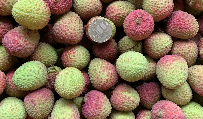 Laici Taiwan (disediakan oleh Majlis Pertanian)