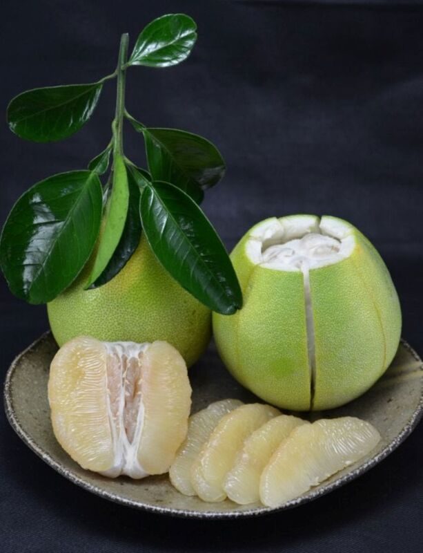 Pesta Kuih Bulan bakal tiba, limau Wendan menjadi pilihan utama buah perayaan yang enak dan sihat. Stesen Penyelidikan dan Pembangunan Pertanian Wilayah Tainan, Kementerian Pertanian, memberikan 3 tip memilih buah ini, iaitu: kulit licin, bentuk seperti gasing (top) yang stabil, dan mempunyai rasa berat ketika dipegang. (Disediakan oleh Stesen Pembangunan Pertanian Wilayah Tainan) 