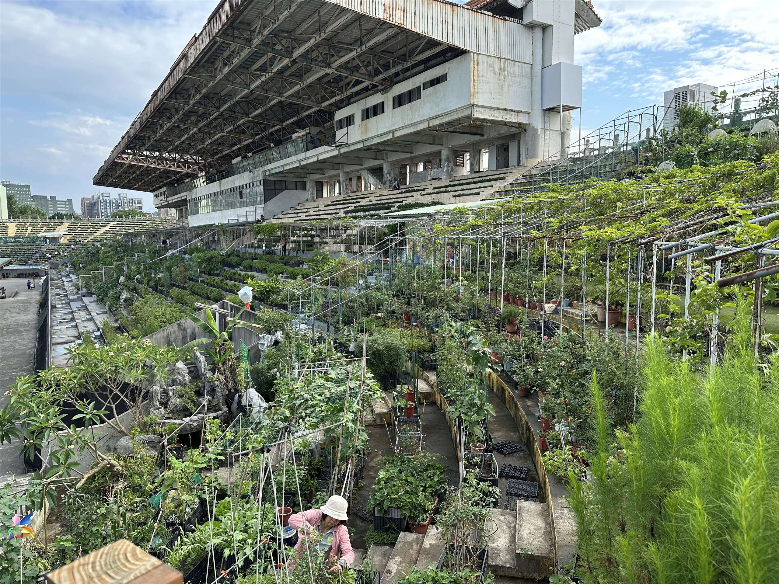 Ladang Pintar dan Bumbung Hijau Ekspo bunga sebelum itu adalah Padang Bola Sepak Zhongshan