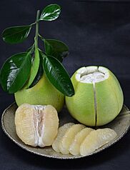 Pesta Kuih Bulan bakal tiba, limau Wendan menjadi pilihan utama buah perayaan yang enak dan sihat.
Stesen Penyelidikan dan Pembangunan Pertanian Wilayah Tainan, Kementerian Pertanian, memberikan 3 tip memilih buah ini, iaitu: kulit licin, bentuk seperti gasing (top) yang stabil, dan mempunyai rasa berat ketika dipegang.

(Disediakan oleh Stesen Pembangunan Pertanian Wilayah Tainan)

