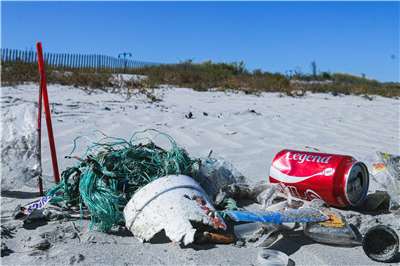 Statistik terkini dari ICC menunjukkan dua jenis sampah paling dominan: peralatan makan pakai buang dan sisa plastik. Untuk beri gambaran betapa seriusnya masalah ini—jumlah botol plastik yang dikutip dalam satu tahun boleh disusun sehingga setinggi 8.4 kali bangunan Taipei 101. Manakala jumlah peralatan makan pakai buang, jika digunakan tiga kali sehari oleh seseorang, cukup untuk digunakan selama hampir 30 tahun.
