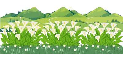 Ladang bunga calla lily di atas gunung (Reka bentuk Canvas)