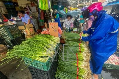 Organic Veggie (pic:中央社)