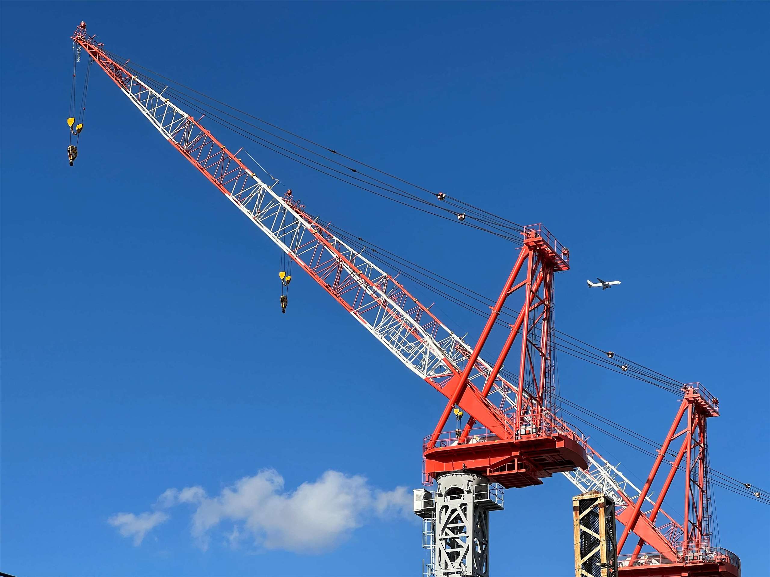 Crane, photo from Wikipedia